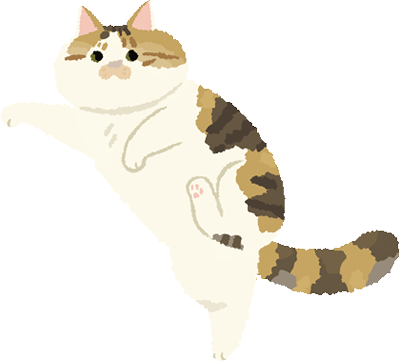 냥이