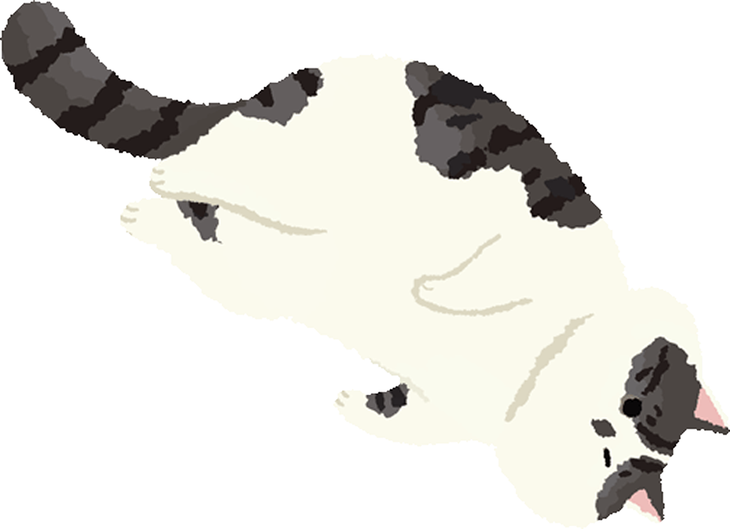 생강