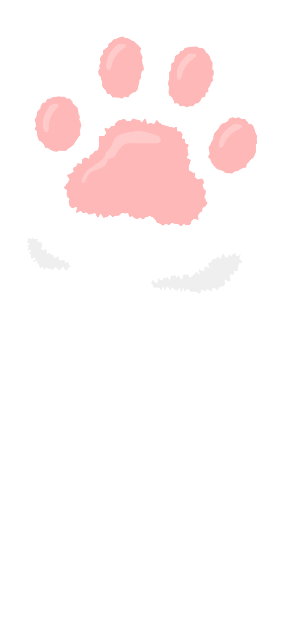 고양이 발