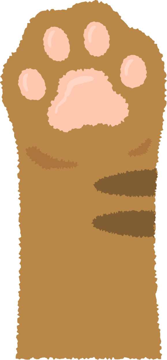 고양이 발