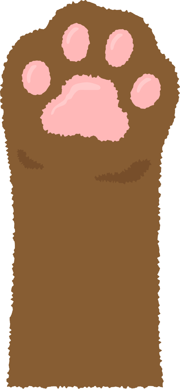 고양이 발
